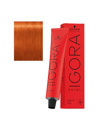 Igora Royal – Tinte Permanente Profesional 60ml Panamá