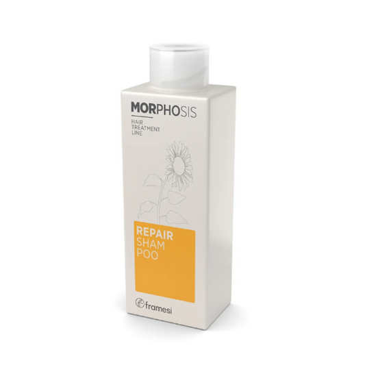 FRAMESI MORPHOSIS REPAIR SHAMPOO 250ML